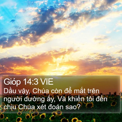 Gióp 14:3 VIE Bible Verse Image