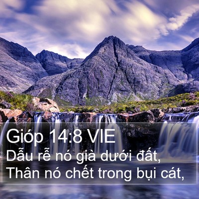 Gióp 14:8 VIE Bible Verse Image