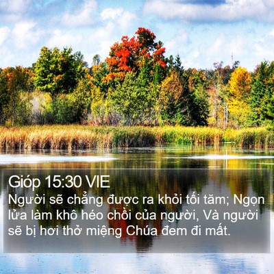 Gióp 15:30 VIE Bible Verse Image