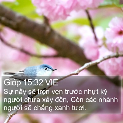 Gióp 15:32 VIE Bible Verse Image