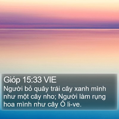 Gióp 15:33 VIE Bible Verse Image
