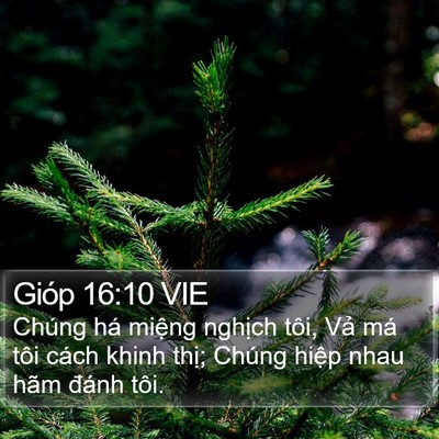 Gióp 16:10 VIE Bible Verse Image