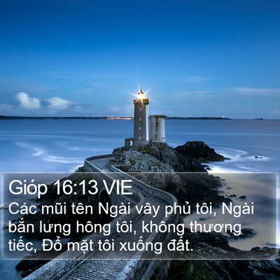 Gióp 16:13 VIE Bible Verse Image