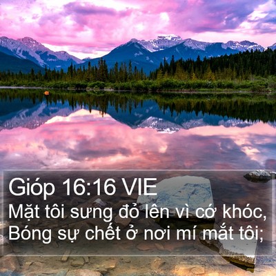 Gióp 16:16 VIE Bible Verse Image