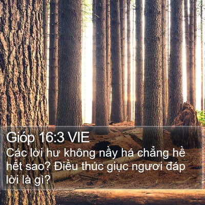 Gióp 16:3 VIE Bible Verse Image