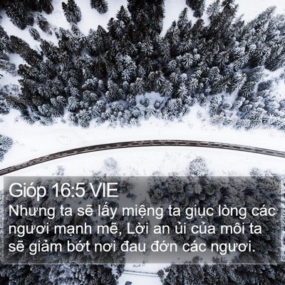 Gióp 16:5 VIE Bible Verse Image