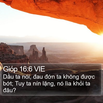 Gióp 16:6 VIE Bible Verse Image