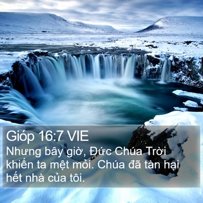 Gióp 16:7 VIE Bible Verse Image