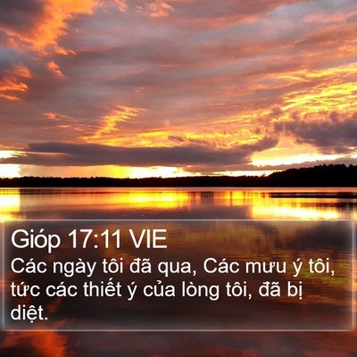 Gióp 17:11 VIE Bible Verse Image