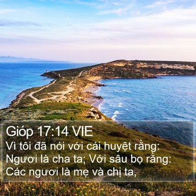 Gióp 17:14 VIE Bible Verse Image