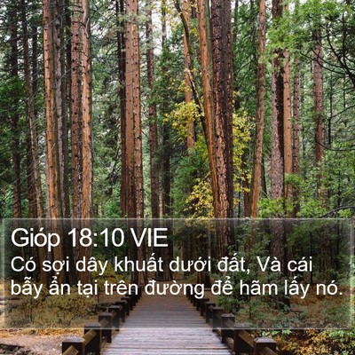 Gióp 18:10 VIE Bible Verse Image