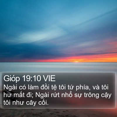 Gióp 19:10 VIE Bible Verse Image