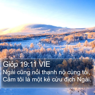 Gióp 19:11 VIE Bible Verse Image