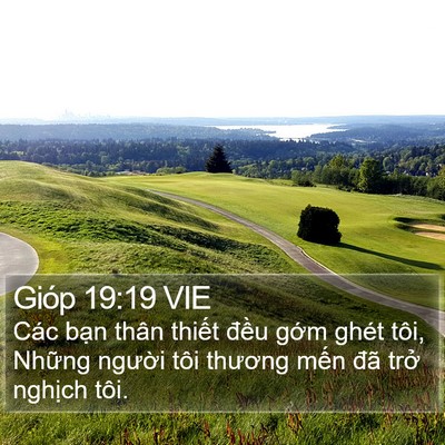 Gióp 19:19 VIE Bible Verse Image