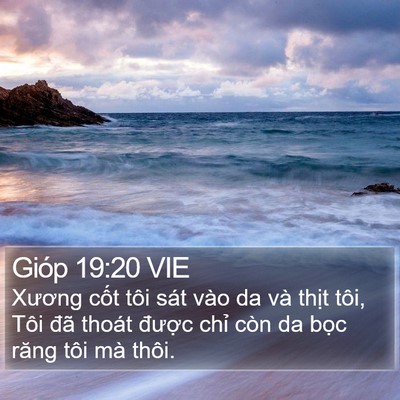Gióp 19:20 VIE Bible Verse Image
