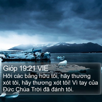Gióp 19:21 VIE Bible Verse Image