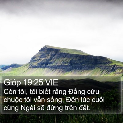 Gióp 19:25 VIE Bible Verse Image
