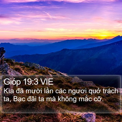 Gióp 19:3 VIE Bible Verse Image