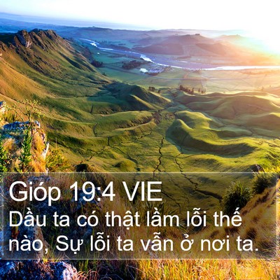 Gióp 19:4 VIE Bible Verse Image