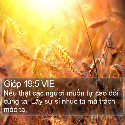 Gióp 19:5 VIE Bible Verse Image