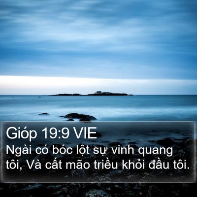 Gióp 19:9 VIE Bible Verse Image