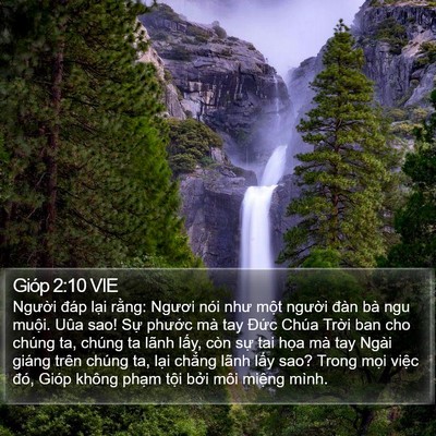 Gióp 2:10 VIE Bible Verse Image
