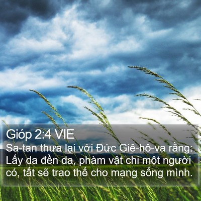 Gióp 2:4 VIE Bible Verse Image