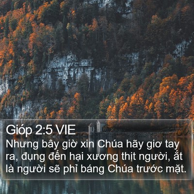 Gióp 2:5 VIE Bible Verse Image