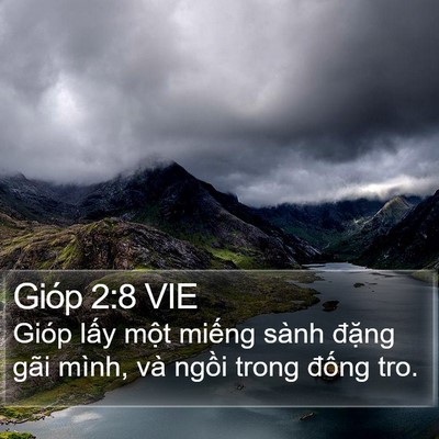 Gióp 2:8 VIE Bible Verse Image