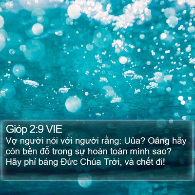 Gióp 2:9 VIE Bible Verse Image