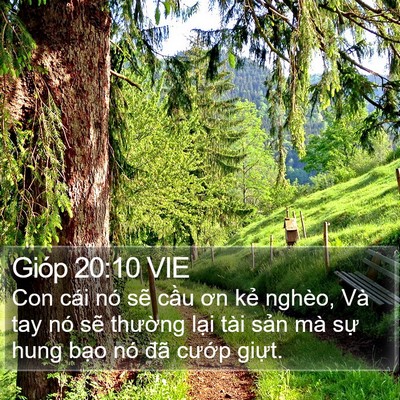 Gióp 20:10 VIE Bible Verse Image