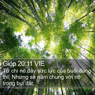 Gióp 20:11 VIE Bible Verse Image