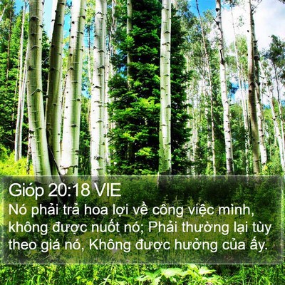 Gióp 20:18 VIE Bible Verse Image
