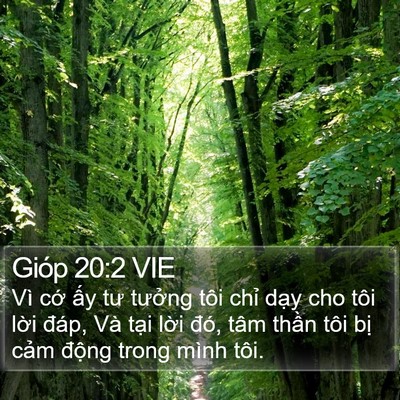 Gióp 20:2 VIE Bible Verse Image