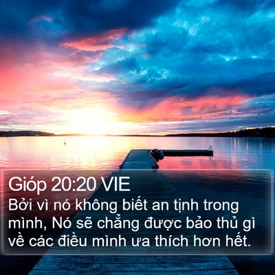 Gióp 20:20 VIE Bible Verse Image