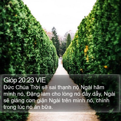 Gióp 20:23 VIE Bible Verse Image