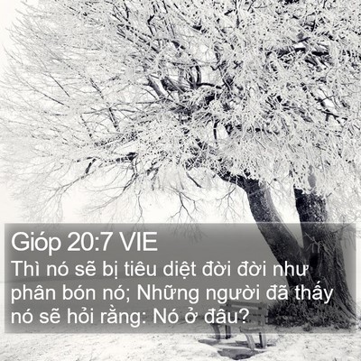 Gióp 20:7 VIE Bible Verse Image