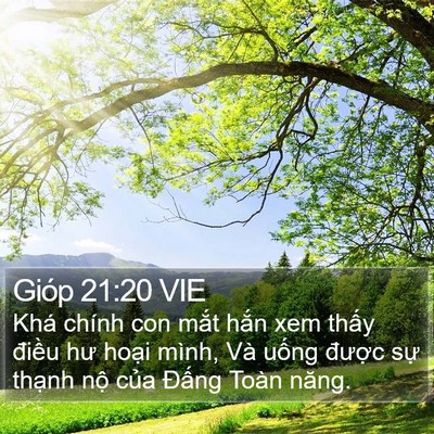 Gióp 21:20 VIE Bible Verse Image