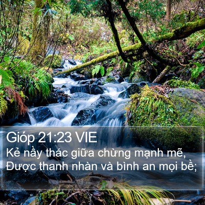 Gióp 21:23 VIE Bible Verse Image