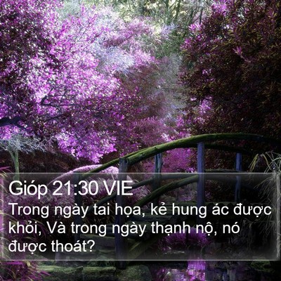 Gióp 21:30 VIE Bible Verse Image