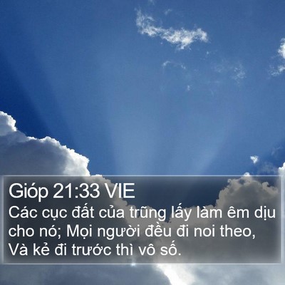 Gióp 21:33 VIE Bible Verse Image