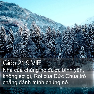 Gióp 21:9 VIE Bible Verse Image