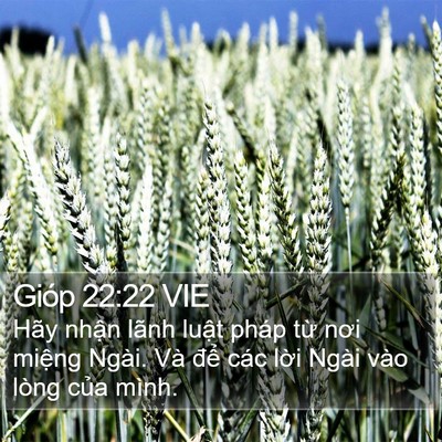 Gióp 22:22 VIE Bible Verse Image