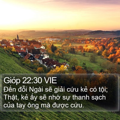 Gióp 22:30 VIE Bible Verse Image