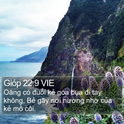 Gióp 22:9 VIE Bible Verse Image