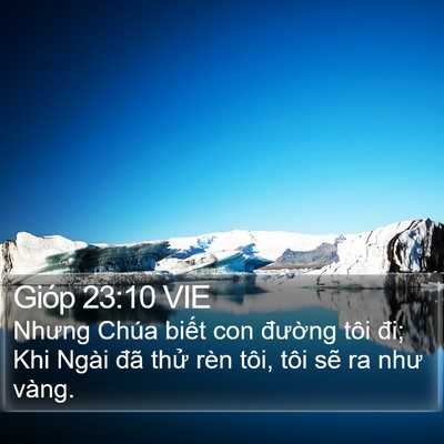 Gióp 23:10 VIE Bible Verse Image