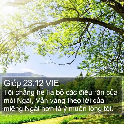 Gióp 23:12 VIE Bible Verse Image