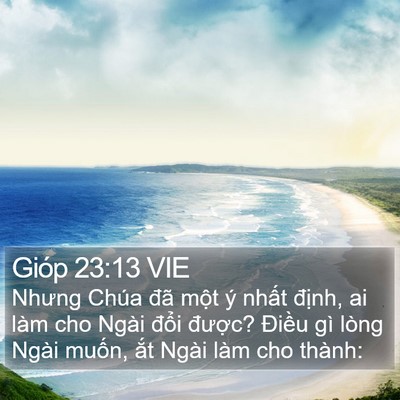 Gióp 23:13 VIE Bible Verse Image