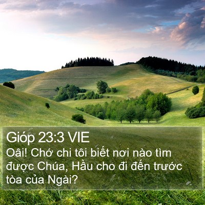 Gióp 23:3 VIE Bible Verse Image
