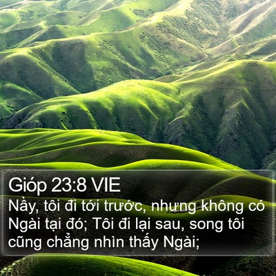 Gióp 23:8 VIE Bible Verse Image